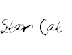 Free Font Star Cat