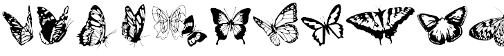 Font Font Butterflies