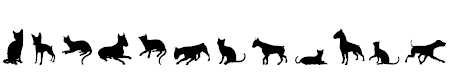 Free Font Cats vs Dogs LT