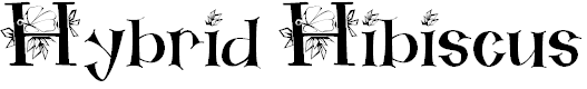 Font Font Hybrid Hibiscus