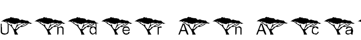 Font Font LMS Under An Acacia Tree