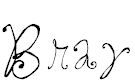 Free Font Bray